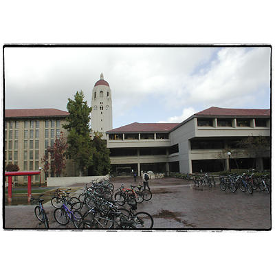 Biciclette posteggiate in un giorno piovoso nella Stanford University