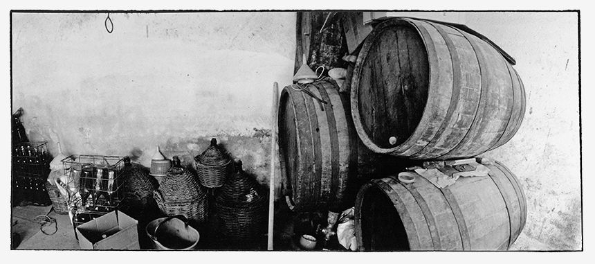 Old wine barrels - Castellinaldo, Piemonte, Italy
