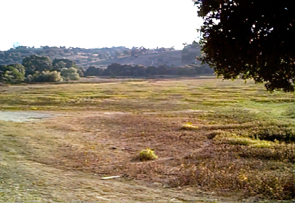 Dried out little lake