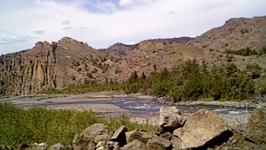 The bald eagle is right behind the big boulder on the left...