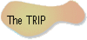   The TRIP